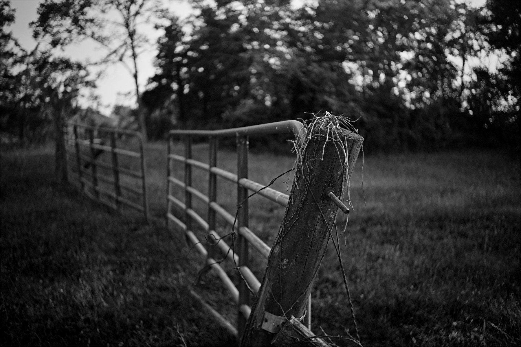A weathered fence and gate receding into a quiet field