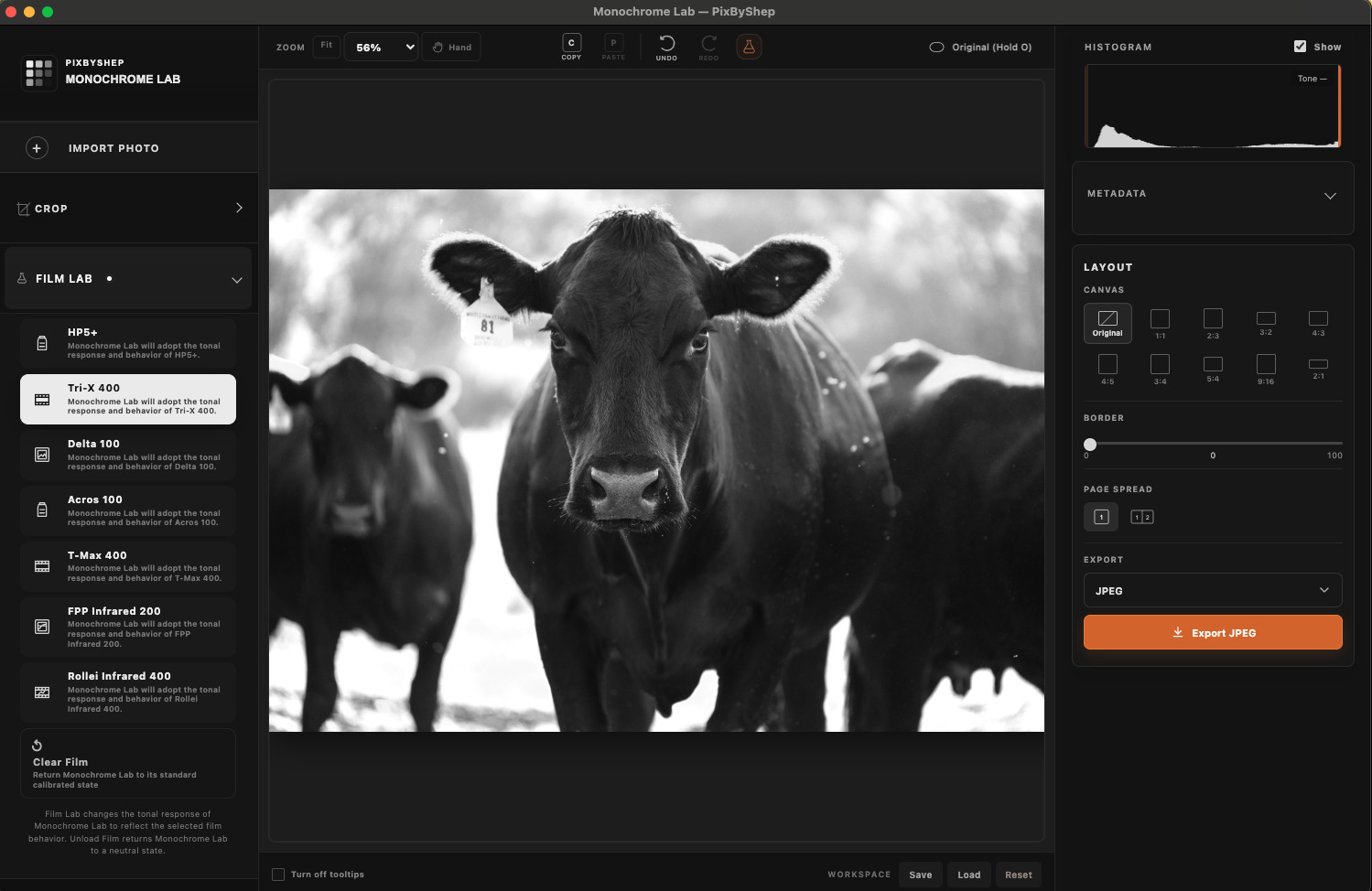 Monochrome Lab Gold-build desktop interface editing a black-and-white photograph